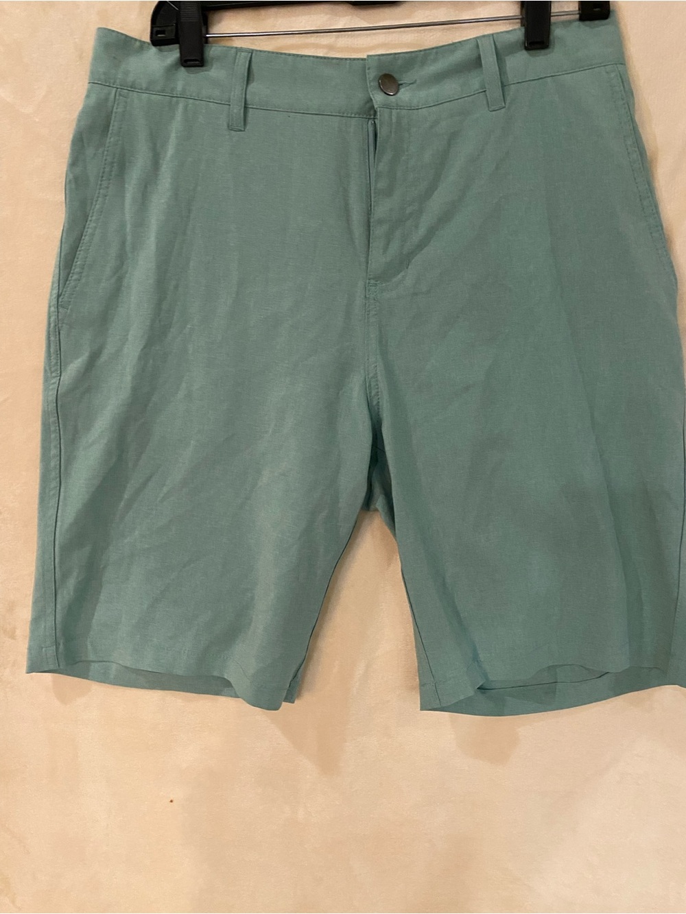 Panama Jack Mint Green Flat Front Shorts US Waist 32